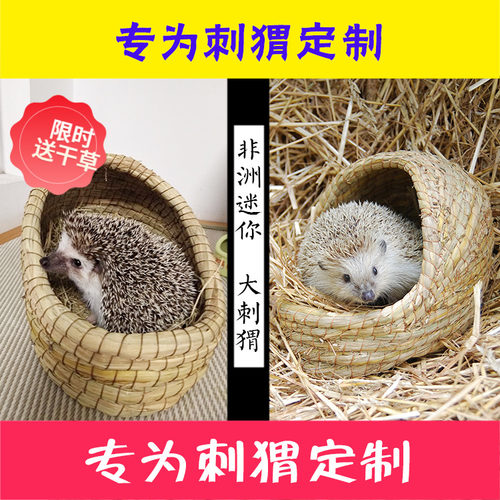 宠物刺猬窝非洲迷你躲避窝