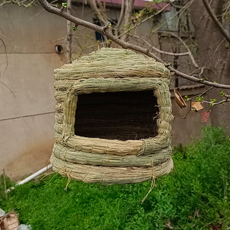 草编鸟窝鸟巢麻雀稻草窝户外田园躲避繁殖保暖睡觉悬挂式树上房子