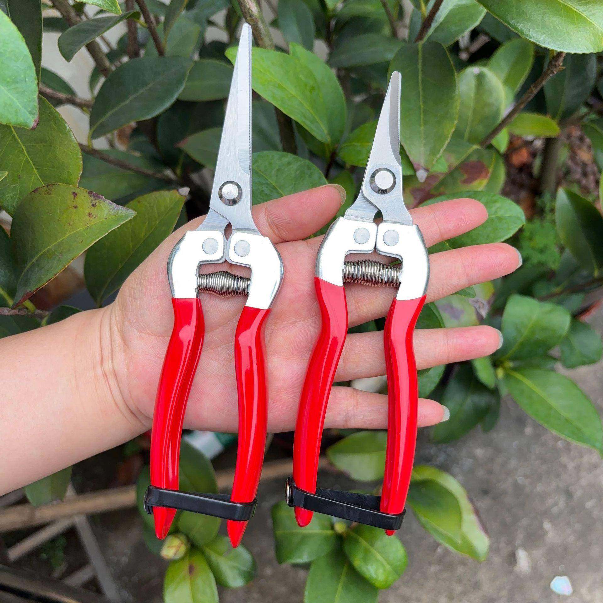 园艺剪刀摘果剪采摘葡萄瓜果剪刀园林果树花卉枝嫁接园艺剪刀,鲜花速递/花卉仿真/绿植园艺,剪刀,淘宝优惠券,粉丝福利购,淘宝优惠卷