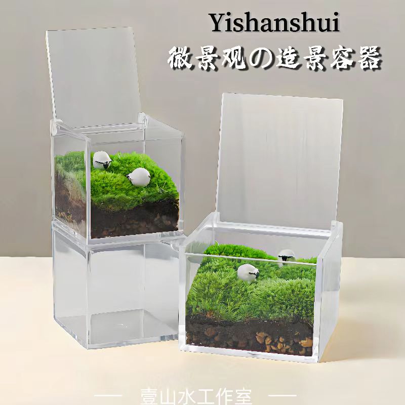 轻松制作の苔藓微景观DIY