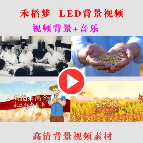 B234-禾稻梦袁隆平LED大屏幕背景视频素材学生朗诵演出表演舞台节
