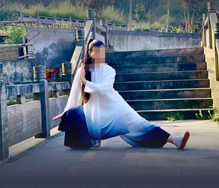 太极服新款飘逸渐变武术比赛表演太极拳练功服中国风艺考服八段锦