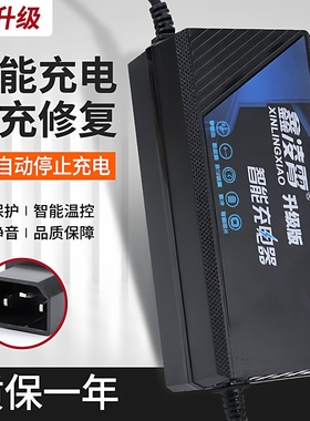 适用9九号电动车N30/B30CB90充电器48V12AH60V20AH72V20AH充电器