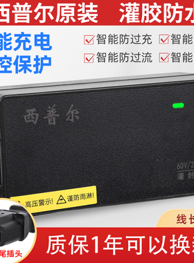 西普尔电动车电瓶充电器48V12AH20AH30AH适用于爱玛雅迪小刀三轮