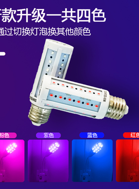 LED彩色灯泡红色灯粉紫色玉米灯蓝色黄绿光七彩渐变节能灯e27螺口