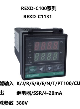 太洲电气 C100 REXD-C1131 数显智能温控仪 电加热温控器 口罩机