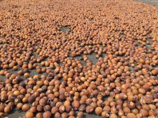 手工天然熬制皂角料包 老店客户简装款代熬