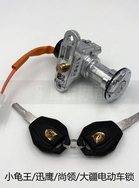 电动车电源锁小龟王电摩托车巧格雷霆王迅鹰战速电瓶车门锁龙头锁