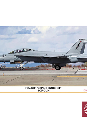 铸造模型 长谷川模型 1/72 F/A-18F 战斗机 
