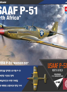 铸造模型 爱德美 12338 美国空军P-51战斗机 北非战场 1/48
