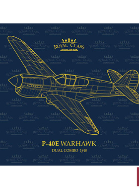 铸造模型 牛魔王/Eduard R0023 P-40E Warhawk 皇家版 双机 1/48
