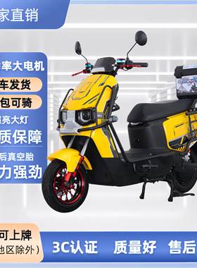 品牌同款长续航日常代步外卖送货