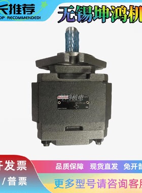 德国Rexroth力士乐内齿合齿轮泵PGH5-21/250RE07VE4-A388液压油泵