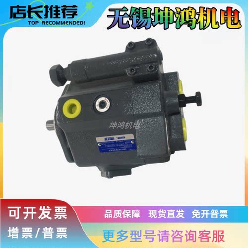 原厂东京计器tokimec液压柱塞泵P31V系列P31V-RS-11-CMC-10-J现货