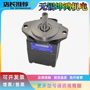 美国DENISON丹尼逊叶片泵T6C 028 1R02 B1 T6C 028 1R01 B1现货