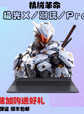 MECHREVO/机械革命 极光X 极光XPro 极光X潮玩版 电竞游戏本