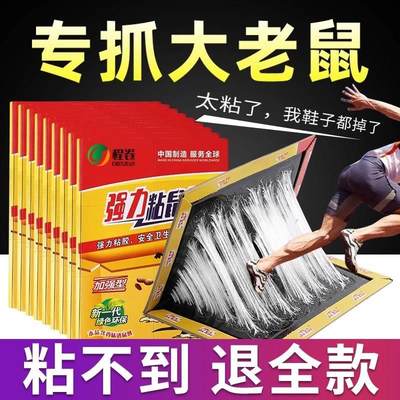 20张老鼠贴超强力粘鼠板抓大老鼠夹扑捉灭鼠胶沾正品家用捕鼠神器