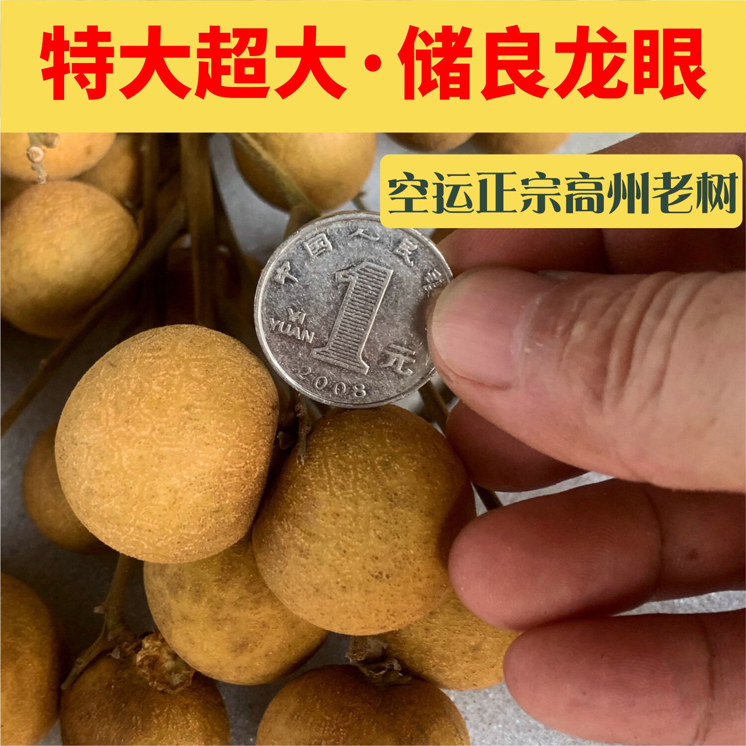高州石峡龙眼新鲜储良桂圆广东茂名特级大水果现摘现货整箱冷链