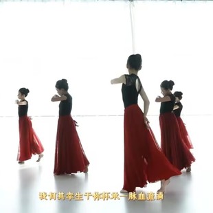 光亮儿童古典舞蹈服芷潼同款演出服双层大摆裙女童现代舞练功长裙