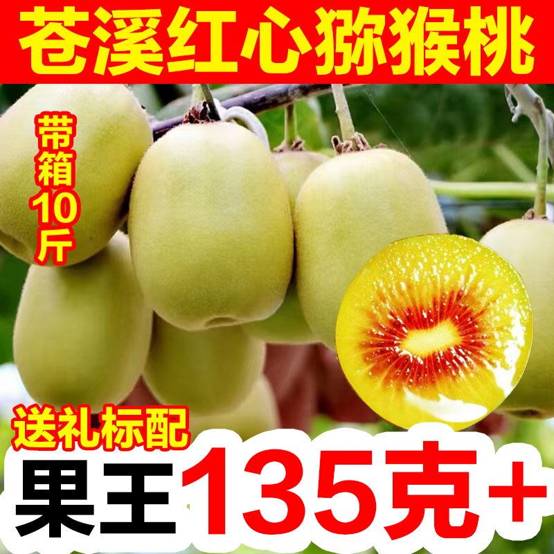 四川广元苍溪红心猕猴桃 奇异果新鲜9 10大果特大果礼盒弥泥整箱