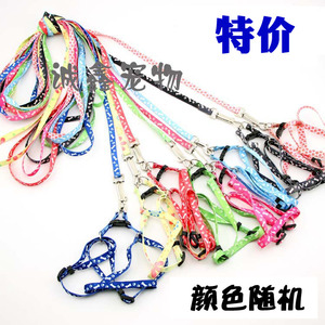 .小狗狗绳子狗链子狗狗胸背带套装中小型犬可用猫绳