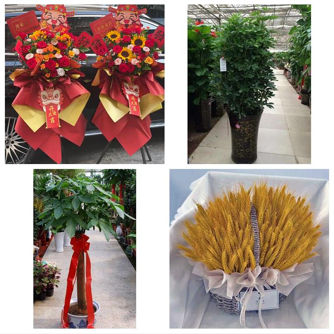郑州市中原区二七管城金水区鲜花店同城配送朋友乔迁新店开业花篮