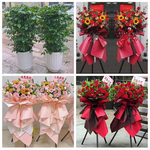 聊城东昌府区阳谷茌平县莘县同城花店订鲜花大麦开业花篮店铺开张