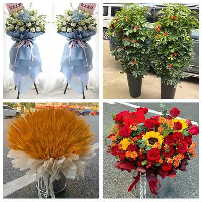 沧州市南皮吴桥县献县孟村县同城花店订鲜花大麦开业花篮店铺开张