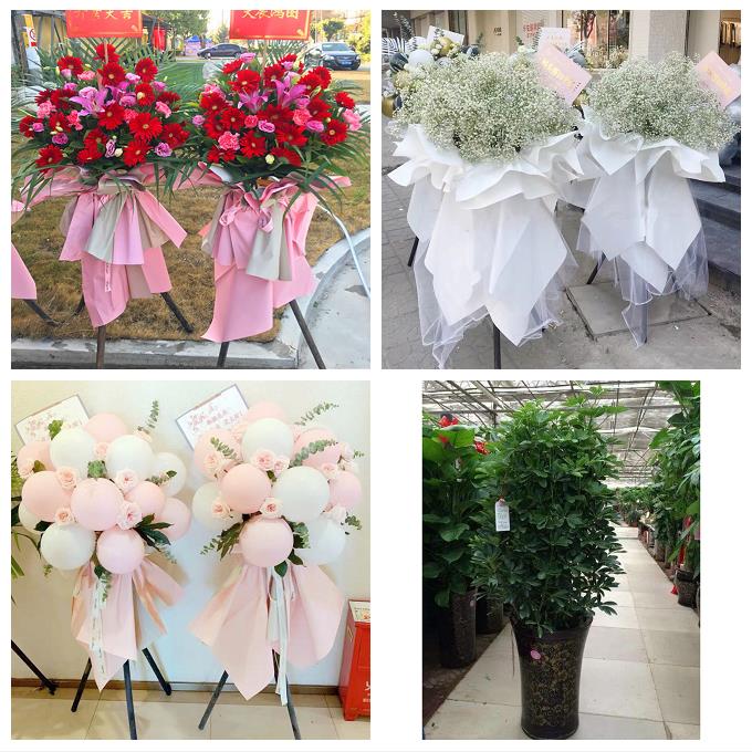 常德市安乡汉寿县武陵鼎城区鲜花店同城配送朋友乔迁新店开业花篮