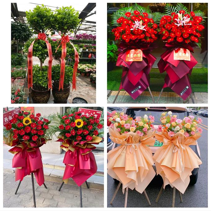 宁夏省吴忠市同心县青铜峡市同城花店订鲜花大麦开业花篮店铺开张