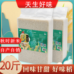 新米不打蜡不抛光新米好味稻20斤农家晚稻大米籼米真空包邮