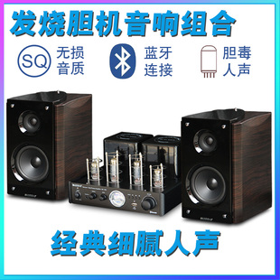 USB无损蓝牙 胆机电子管功放机音响组合发烧5寸HiFi书架音箱套装