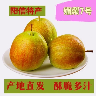 山东阳信特产媚梨7号梨多汁酥脆爆汁细腻无渣包邮
