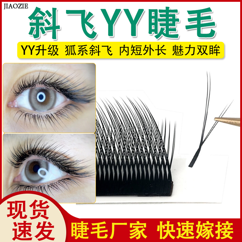 斜飞yy睫毛嫁接不散根狐系山茶花