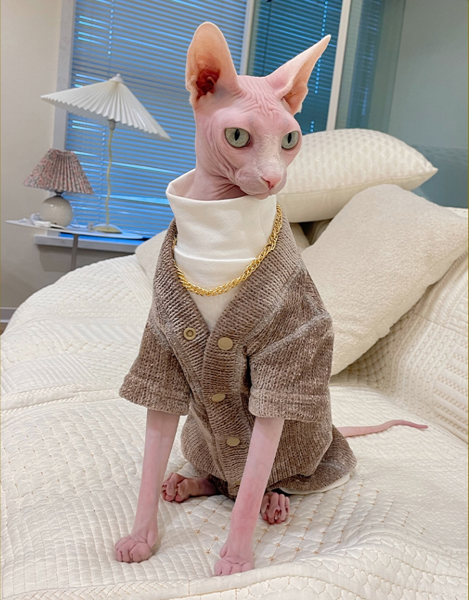 冬季保暖斯芬克斯德文宠物猫咪衣服柔软无骨缝合打底开衫两脚外套