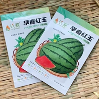 1 грамм раннего весеннего рубинового арбуза (около 20 штук)