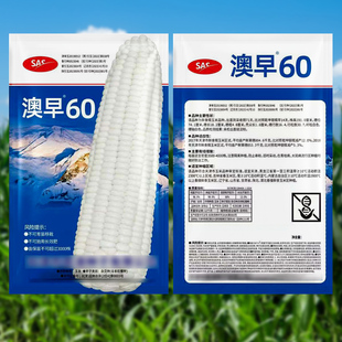 澳早60白甜糯玉米种子鲜食白甜加糯玉米种籽春秋四季黄淮海蔬菜孑