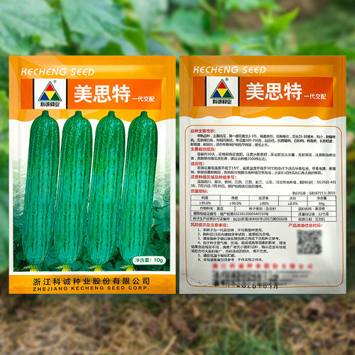 美思特黄瓜种子水果黄瓜种籽早熟杂交强雌春播秋四季阳台蔬菜种孑