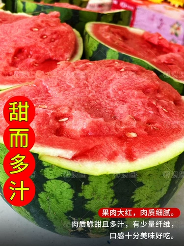 Семена арбуза Lazy Man Sweet King 8424, семена Кирина, саженцы, очень большие, высокоурожайные, бессемянные, гигантские, южные, четырехсезонные, семена фруктов