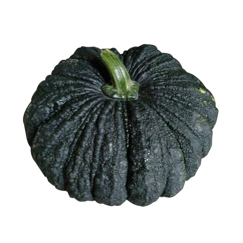 Импорт Таиланда 南 Семена тыквы кокока уродливое порошок семян дыни сладкая клейкая весна осень четыре сезона.