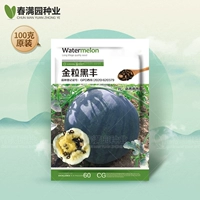 Семена дыни Golden Grain Black Fengda 100г оригинал