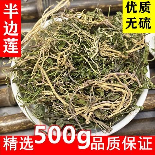 野生半边莲半边连半边花细米草无硫品质当季新货干中药材精选500g