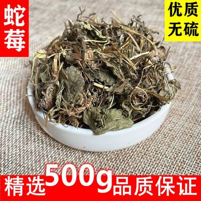 蛇莓 龙吐珠 蛇莓草 地莓当季新货 无硫 中药材 精选500g