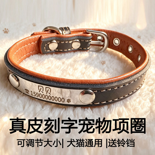 猫项圈定制刻字防丢泰迪脖圈铃铛