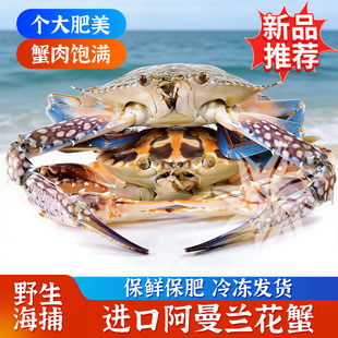 餐饮商用阿曼活冻兰花蟹清蒸级香辣蟹肉煲批发14斤冻蟹