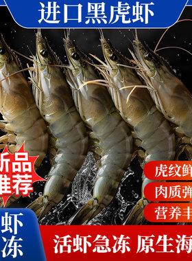 进口黑虎虾大虾新鲜鲜活速冻海鲜水产老虎虾特大基围虾竹斑九节虾
