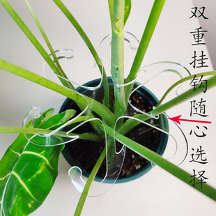 龟背竹防倒伏支架固定器春羽绿植物固定夹水培花茎园艺花卉收拢架
