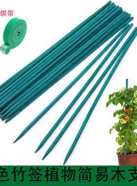 植物支撑杆花卉固定捆绑花支架绿植装饰园艺花架假花花杆绿色竹签