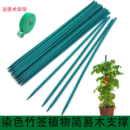 植物支撑杆花卉固定捆绑花支架绿植装饰园艺花架假花花杆绿色竹签