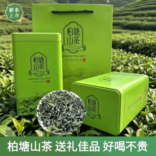 2026新茶惠州特产博罗柏塘山茶茶农手工炒青绿茶送礼实惠礼盒装